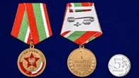 Медаль "Северная Группа Войск 1945-1993"