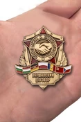 Нагрудный знак "Варшавский договор"
