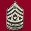 Челлендж коин "За отличие" курсантов 77-й школы сержантского состава Армии США
