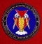 Наградный знак ВВС США "За отличие в службе на базе Лэнгли"