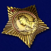 Сувенирный шильд "Орден Суворова"
