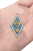 Знак Об окончании педагогического ВУЗа РФ