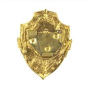 Знак нагрудный Помощник дежурного по бане из алюминия