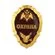 Знак нагрудный ОХРАНА 9.5х6см 25гр