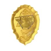 Знак нагрудный ОХРАНА 9.5х6см 25гр