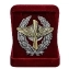 Наградной знак Красного военного лётчика РККА