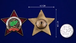 Орден "Ветеран Афганской войны" №952(695)