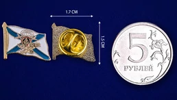 Значок ДШБ МП № 43