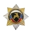 Знак нагрудный  Внутренние войска МВД (олень) (закрутка)