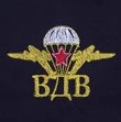 Футболка ВДВ с вышитой эмблемой №194