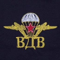 Футболка ВДВ с вышитой эмблемой №194