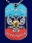 Жетон на цепочке «Луганская Республика»