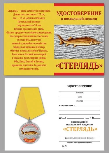 Сувенирная медаль "Стерлядь"