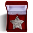 Знак "За трофеи"