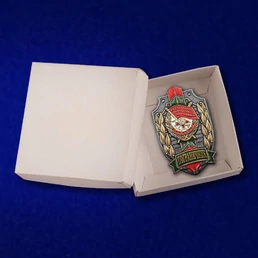 Знак "Пограничник Краснознаменного отряда" №2657