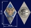 Знак за окончание Пансиона воспитанниц Министерства обороны Российской Федерации цвет синий