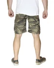 Шорты Aviator, woodland (Вудланд)