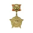 Сувенирный нагрудный знак Воину-интернационалисту без удостоверения