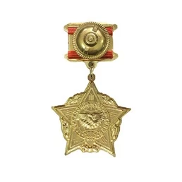 Сувенирный нагрудный знак Воину-интернационалисту без удостоверения