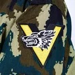Имперский шеврон "Волчья сотня" 10х9см без липучки