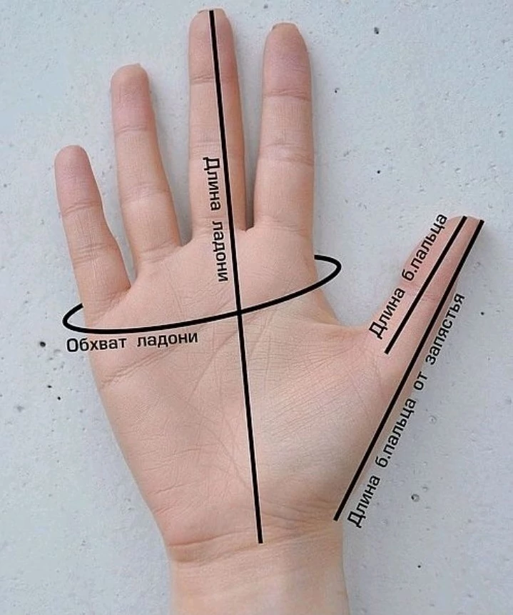 Размеры обхвата руки. Обхват ладони. Замеры для варежки. Мерки для перчаток. Обхват ладони для перчаток.