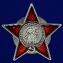 Сувенирный орден "100 лет Армии и Флоту"  в подарочном футляре №1598