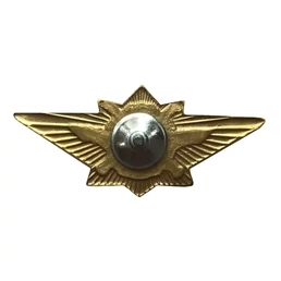Знак классности Росгвардия офицерский М цвет красный Размер 7х3,4х1 см
