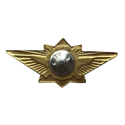 Знак классности Росгвардия офицерский М цвет красный Размер 7х3,4х1 см