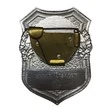 Знак нагрудный МЧС ДНР Дневальный по помещениям