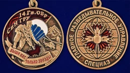 Медаль "14 Гв. ОБрСпН ГРУ" №2699