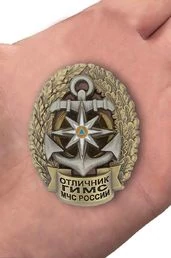 Сувенирный знак ГИМС МЧС (Отличник) №327(631)