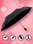 Зонт женский Полуавтомат Диаметр 95 см цвет черный арт.1088
