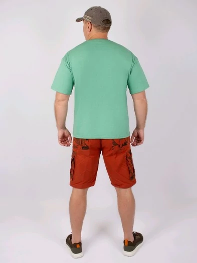 Мужская футболка Oversize летняя повседневная цвет мятный shen lin lv