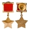 Сувенирная медаль Звезда Героя Советского Союза №631(395)