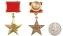 Сувенирная медаль Звезда Героя Социалистического Труда №636(400)