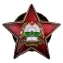 Орден Республики Афганистан «За храбрость» без удостоверения