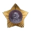 Сувенирный орден Суворова 2 степени  №647(411)