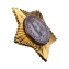 Сувенирный орден Суворова II степени в наградном футляре №647(411)