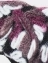 Перчатки женские с фантазийным узором "Виола" цвет коричневый, фиолетовый, белый