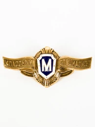 Знак сувенирный солдатский "классный специалист" М