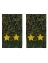 Фальш-погоны камуфляж Зелёная цифра жёлтые звезды 9х5 см Звание Подполковник