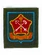 Шеврон вышитый на липучке на рукав Западный военный округ н/о по приказу 300 (оливковая ткань голубой кант) (2503331)