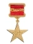 Сувенирная медаль Звезда героя социалистического труда на булавке