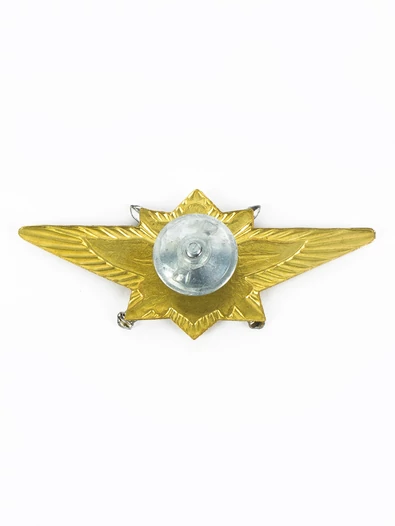 Знак нагрудный Классность офицерского состава МО "Мастер"