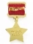 Сувенирная медаль Звезда Героя Советского Союза