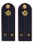 Погоны ФСИН на куртку картон (в сборе) укомплектованные с фурнитурой звание лейтенант 14х5 см