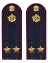 Погоны ФСИН на куртку картон (в сборе) укомплектованные с фурнитурой звание Подполковник 14х5 см