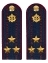 Погоны ФСИН на куртку картон (в сборе) укомплектованные с фурнитурой звание Полковник 14х5 см