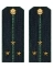 Погоны Пограничной службы ПС ФСБ в сборе картон на китель звание Старший лейтенант 14х5,5см