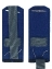 Погоны ФСБ на китель цвет синий картон, звание Капитан 14х5,5см